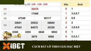 Xibet bật mí cách bắt lô theo giải đặc biệt