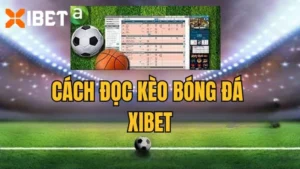 Hướng dẫn cách đọc kèo bóng đá tại nhà cái Xibet